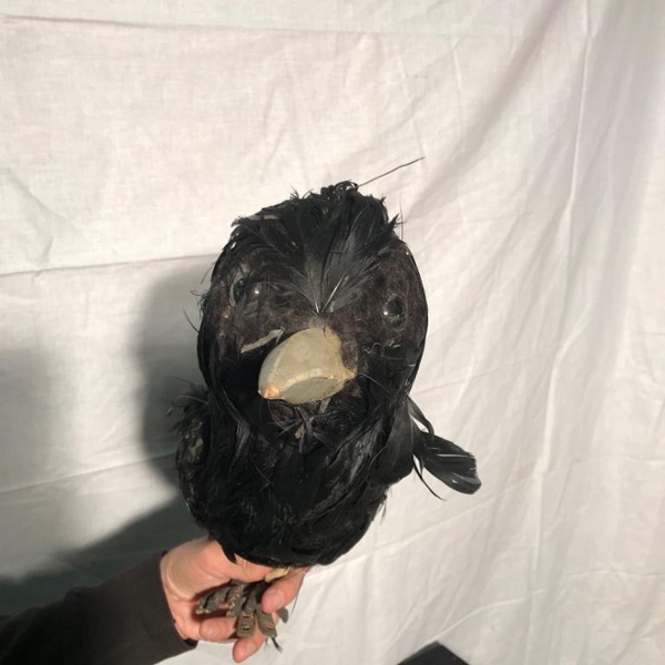 Le Corbeau 2
