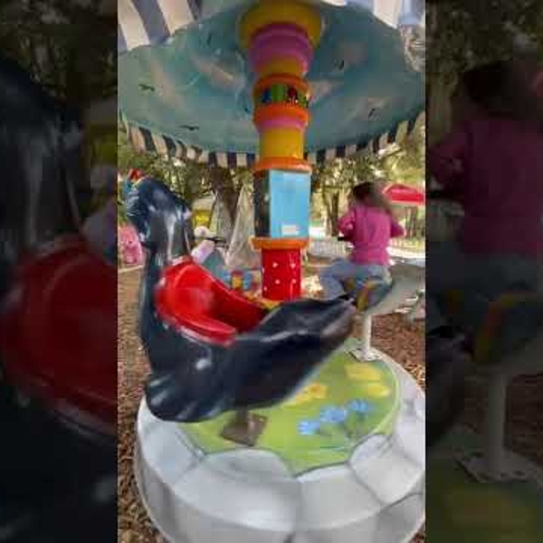 Carrousel Dauphins (vid&eacute;o)