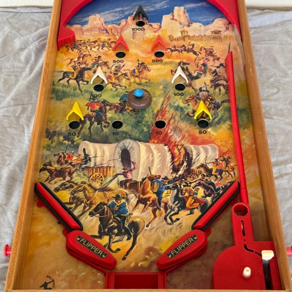 Flipper Western 1