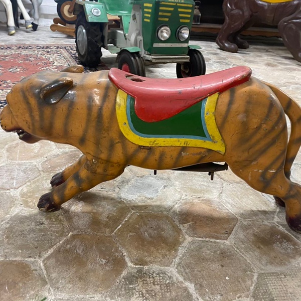 tigre 1