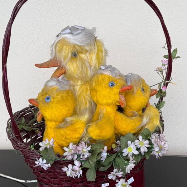 Panier de Canards 2