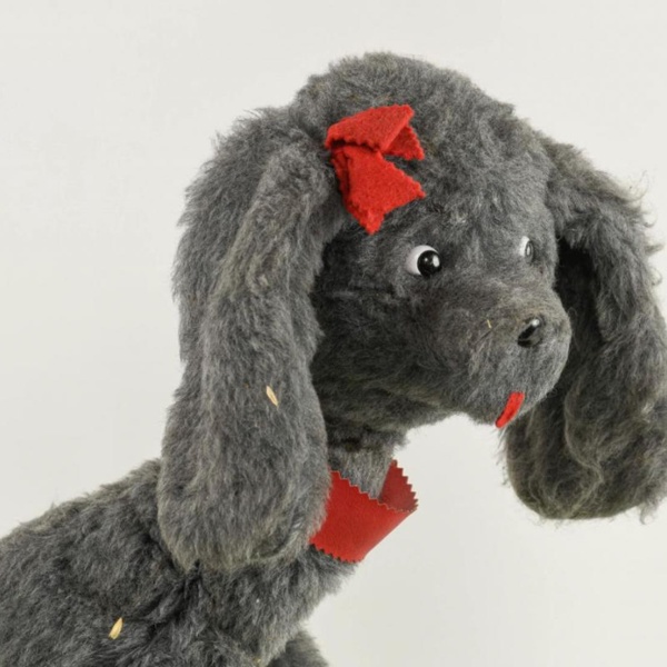 Le loup et le chien 5