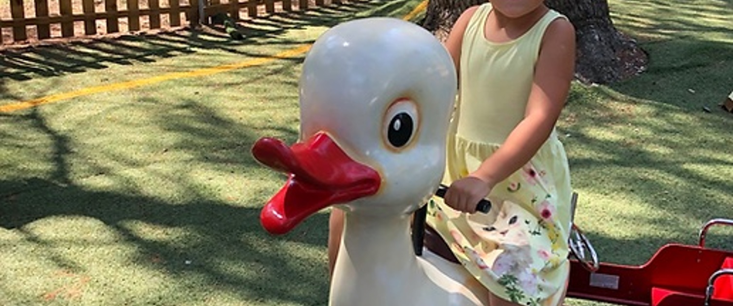 Le Canard